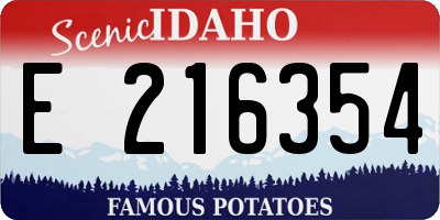 ID license plate E216354