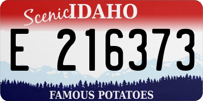 ID license plate E216373