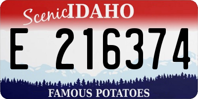 ID license plate E216374