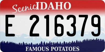 ID license plate E216379
