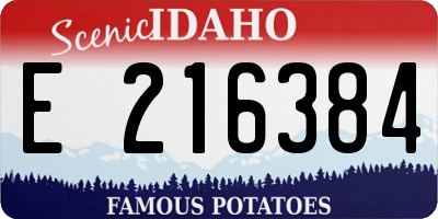 ID license plate E216384