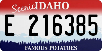 ID license plate E216385