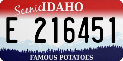 ID license plate E216451