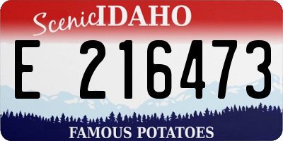 ID license plate E216473