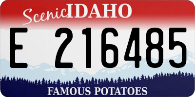 ID license plate E216485