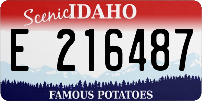 ID license plate E216487