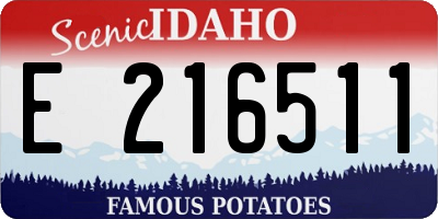 ID license plate E216511