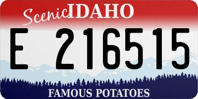 ID license plate E216515
