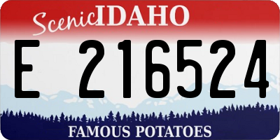 ID license plate E216524