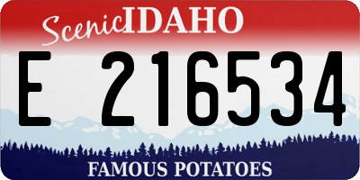 ID license plate E216534