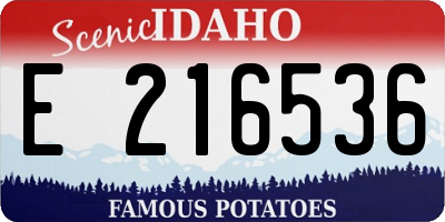 ID license plate E216536