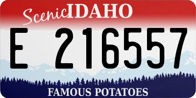 ID license plate E216557