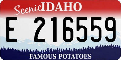 ID license plate E216559