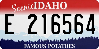ID license plate E216564