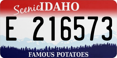 ID license plate E216573