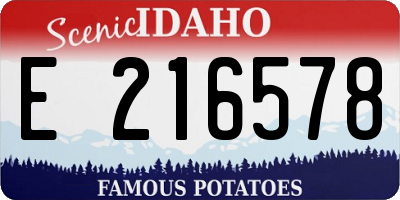 ID license plate E216578