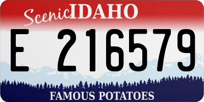 ID license plate E216579
