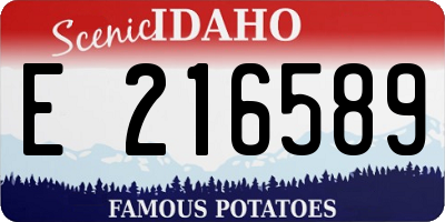 ID license plate E216589