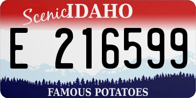 ID license plate E216599