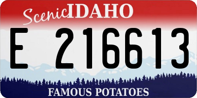 ID license plate E216613