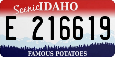 ID license plate E216619