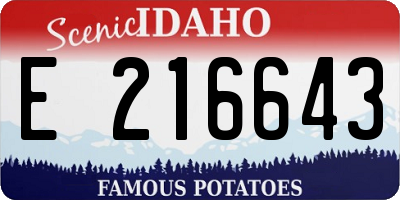 ID license plate E216643
