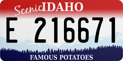 ID license plate E216671