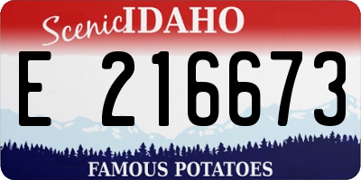 ID license plate E216673