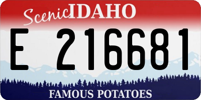 ID license plate E216681