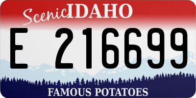 ID license plate E216699