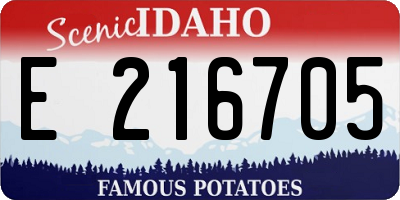 ID license plate E216705