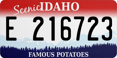 ID license plate E216723