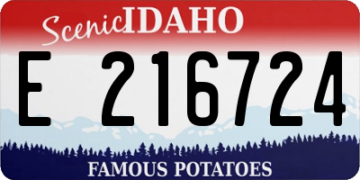 ID license plate E216724