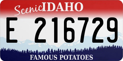ID license plate E216729