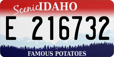 ID license plate E216732