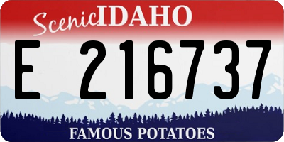 ID license plate E216737