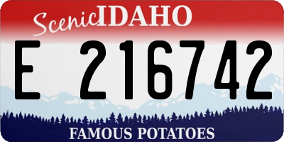 ID license plate E216742