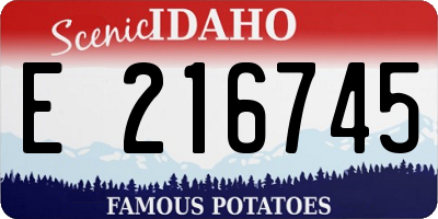 ID license plate E216745