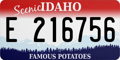 ID license plate E216756
