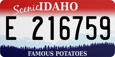 ID license plate E216759