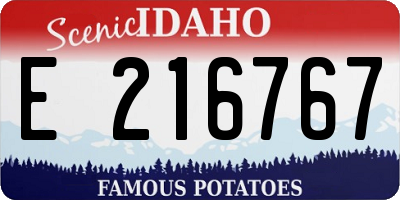 ID license plate E216767