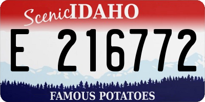ID license plate E216772