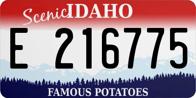 ID license plate E216775