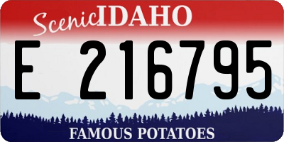 ID license plate E216795