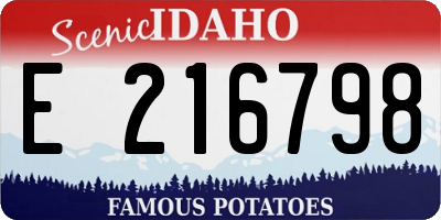 ID license plate E216798