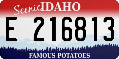 ID license plate E216813