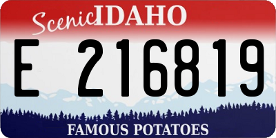 ID license plate E216819
