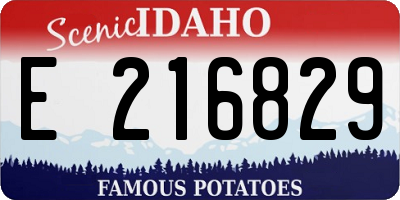 ID license plate E216829