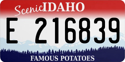 ID license plate E216839