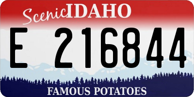 ID license plate E216844